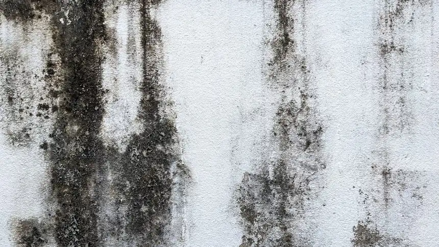 White wall with dark streaks of moisture damage running down from above